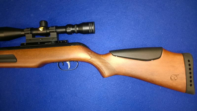 Gamo Maxxim .22