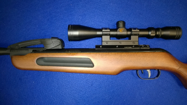  Gamo Maxxim .22