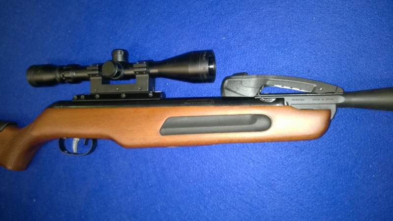 {CATEGORY} - Gamo Maxxim .22 in 