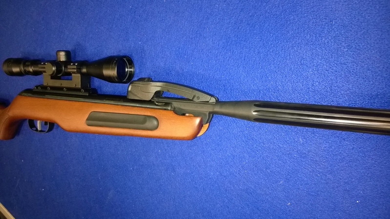 {CATEGORY} - Gamo Maxxim .22