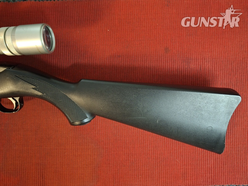 Ruger 10-22 BLACK SYNTHETIC Semi-Auto .22 Rifle
