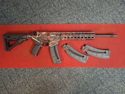 Smith & Wesson M&P 15-22 Semi-Auto .22 Rifle