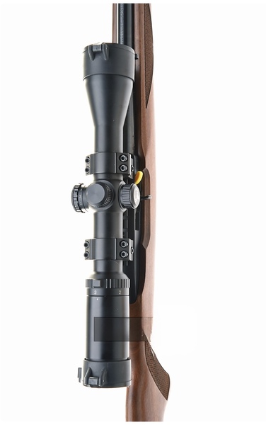 Ruger The RUGER rifle. 50years anniversary model. Semi-Auto .22 Rifle