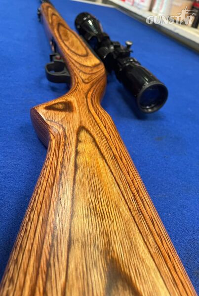{CATEGORY} - Ruger 1022 Semi-Auto .22 Rifle in 