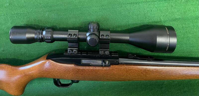 Ruger 10/22 Semi-Auto .22 Rifle - {CATEGORY} in 