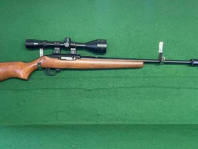 Ruger 10/22 Semi-Auto .22 Rifle