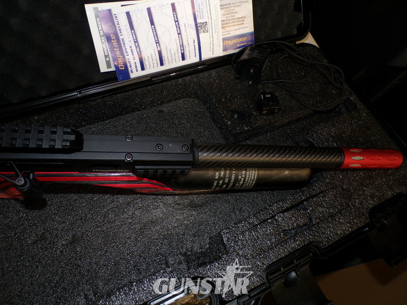  Daystate ALPHA WOLF .22