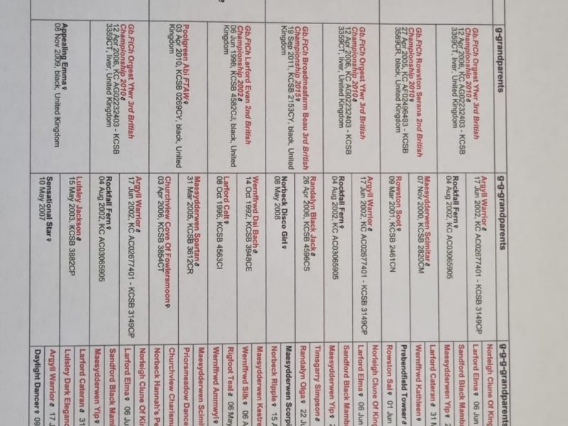 KC REGISTERED READY 28.02.25 