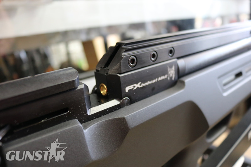  FX Airguns Bobcat MK2 .22