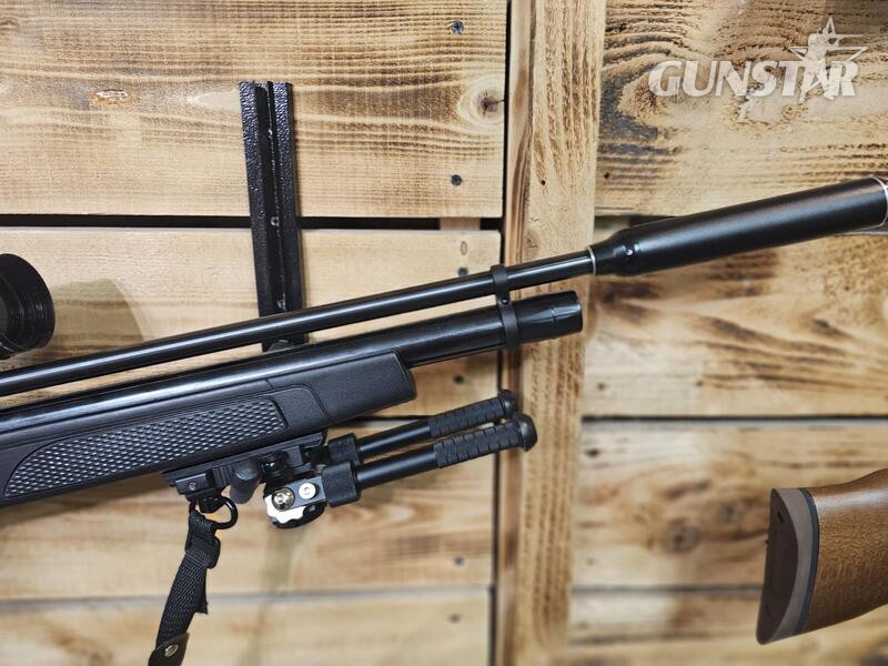  Gamo Coyote .22