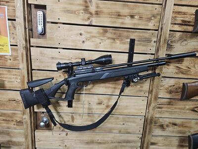 Gamo Coyote .22