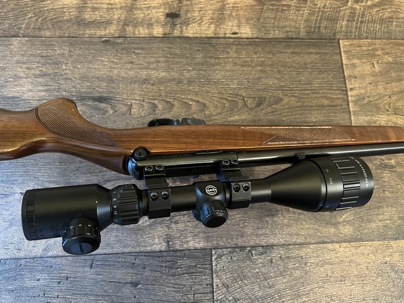 CZ 511 Semi-Auto .22 Rifle 