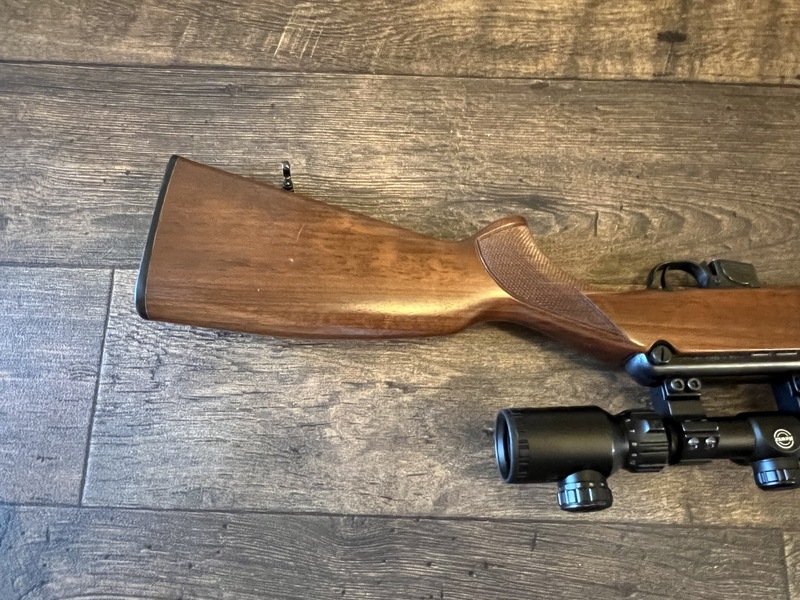 {CATEGORY} - CZ 511 Semi-Auto .22 Rifle