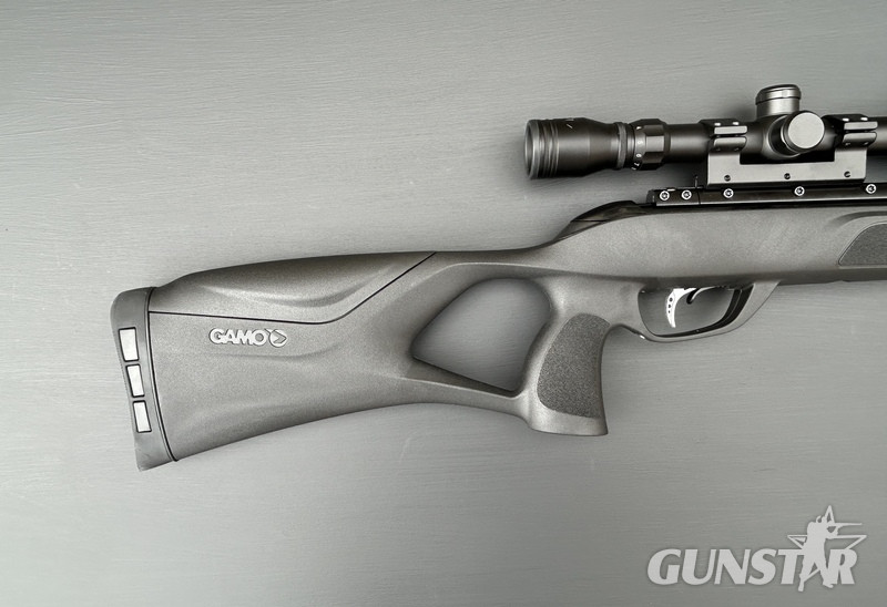 Gamo Roadster 10X GEN 2 .22