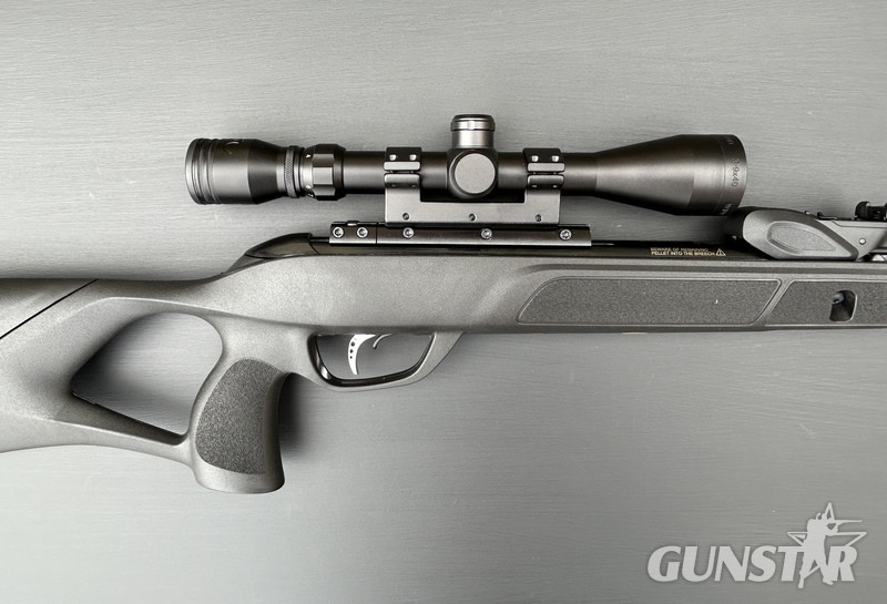  Gamo Roadster 10X GEN 2 .22