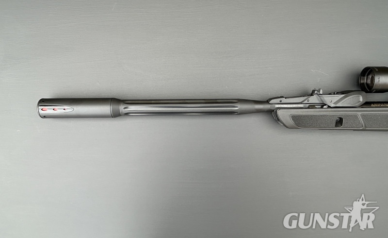 {CATEGORY} - Gamo Roadster 10X GEN 2 .22 in 