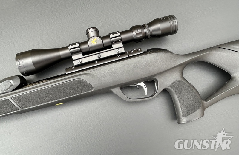 {CATEGORY} - Gamo Roadster 10X GEN 2 .22