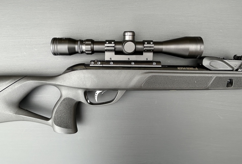  Gamo Roadster 10X GEN 2 .22