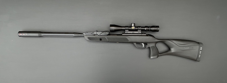 Gamo Roadster 10X GEN 2 .22 