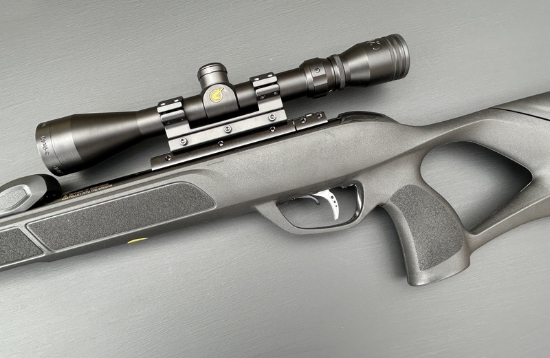 {CATEGORY} - Gamo Roadster 10X GEN 2 .22