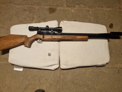 Webley / Webley & Scott Axor .22
