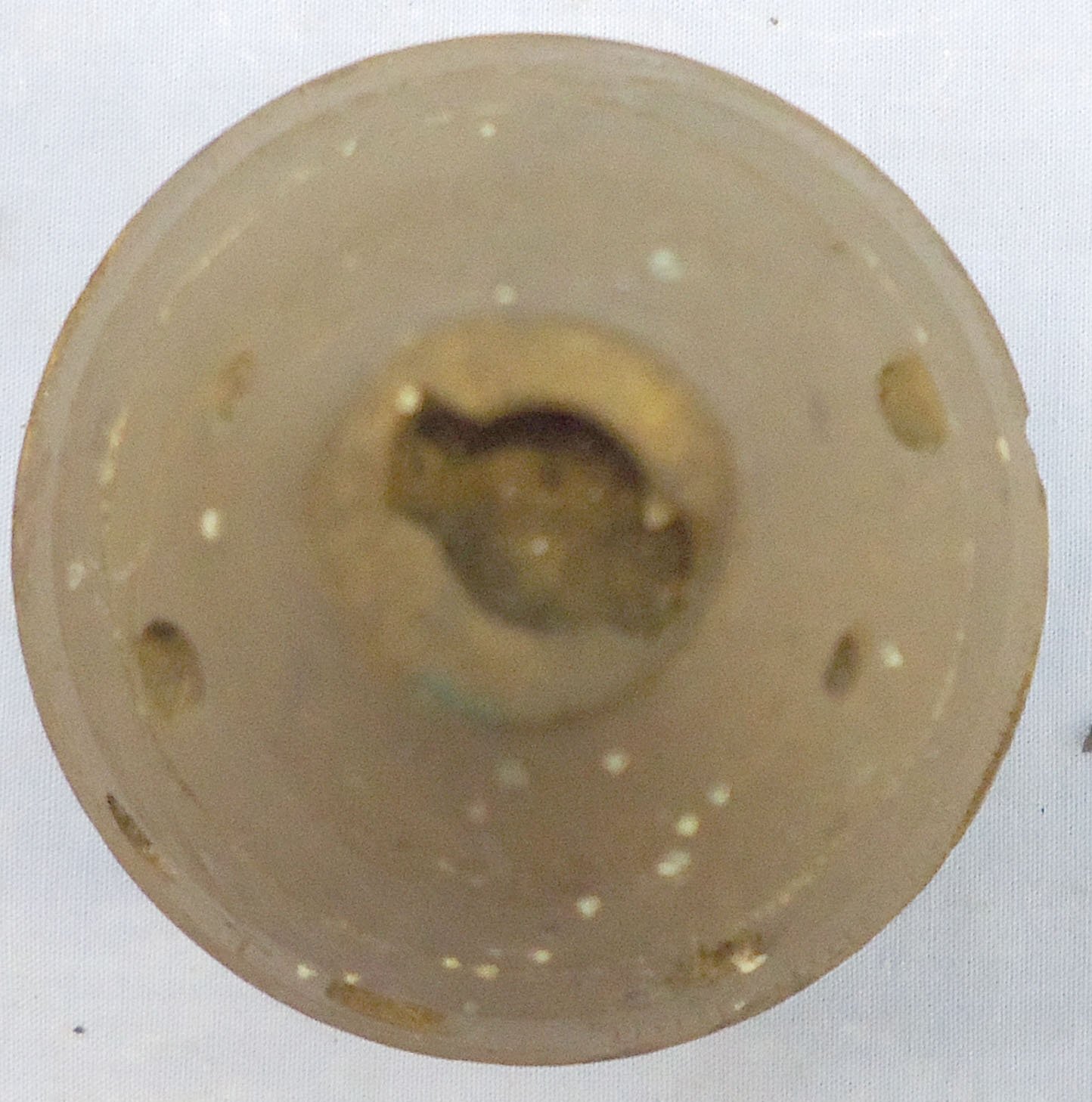 {CATEGORY} - INERT DEACTIVATED. Rare, WW1, 1915 Dated, 7.6cm Minenwerfer Gas Shell Round. - O 2260 INERT DEACTIVATED. Rare, WW1, 1915 Dated, 7.6cm Minenwerfer Gas Shell Round. - O 2260  Other Ammunition
