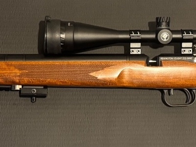 Remington Vought .22