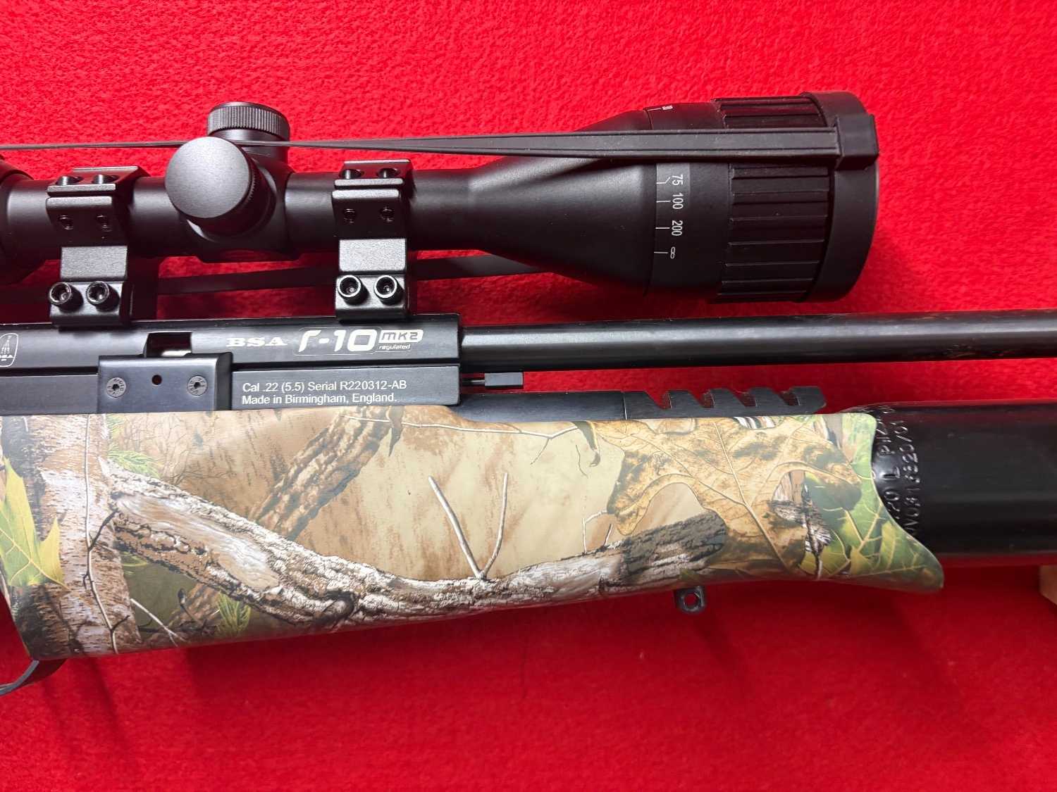  BSA BSA R10 MK2 Camo .22