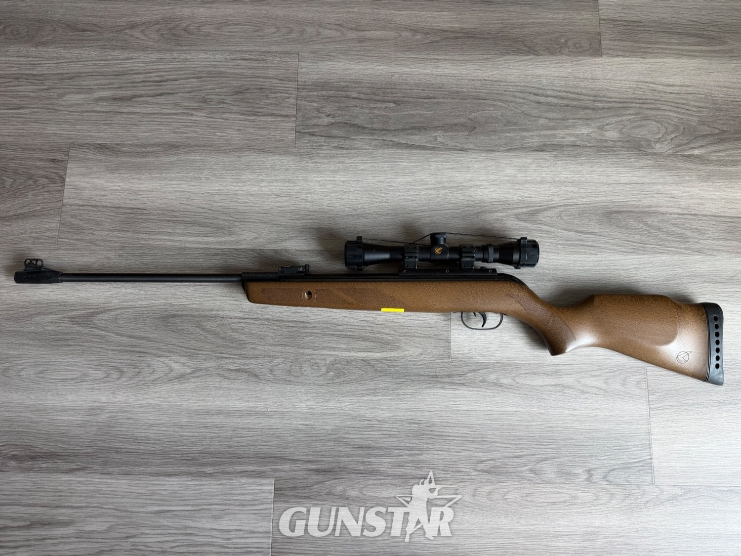 Gamo Hunter 440 .22