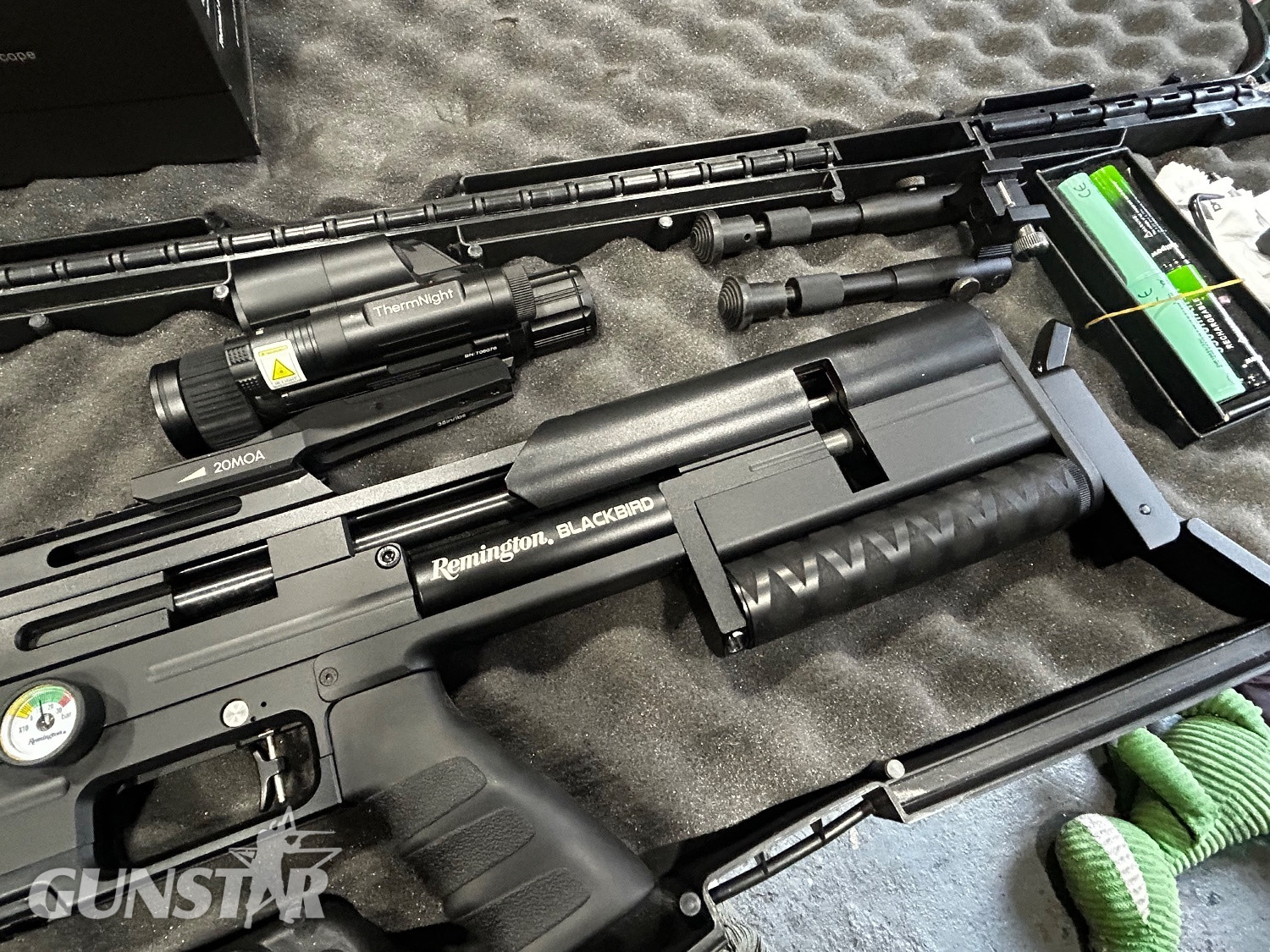 Remington Black bird .25