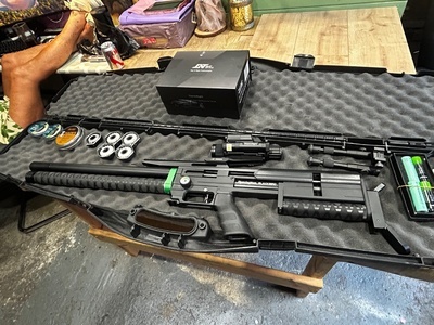 Remington Black bird .25