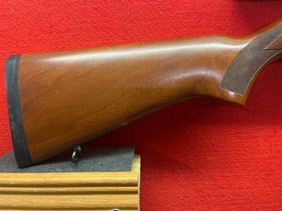Ruger 10-22 Semi-Auto .22 Rifle