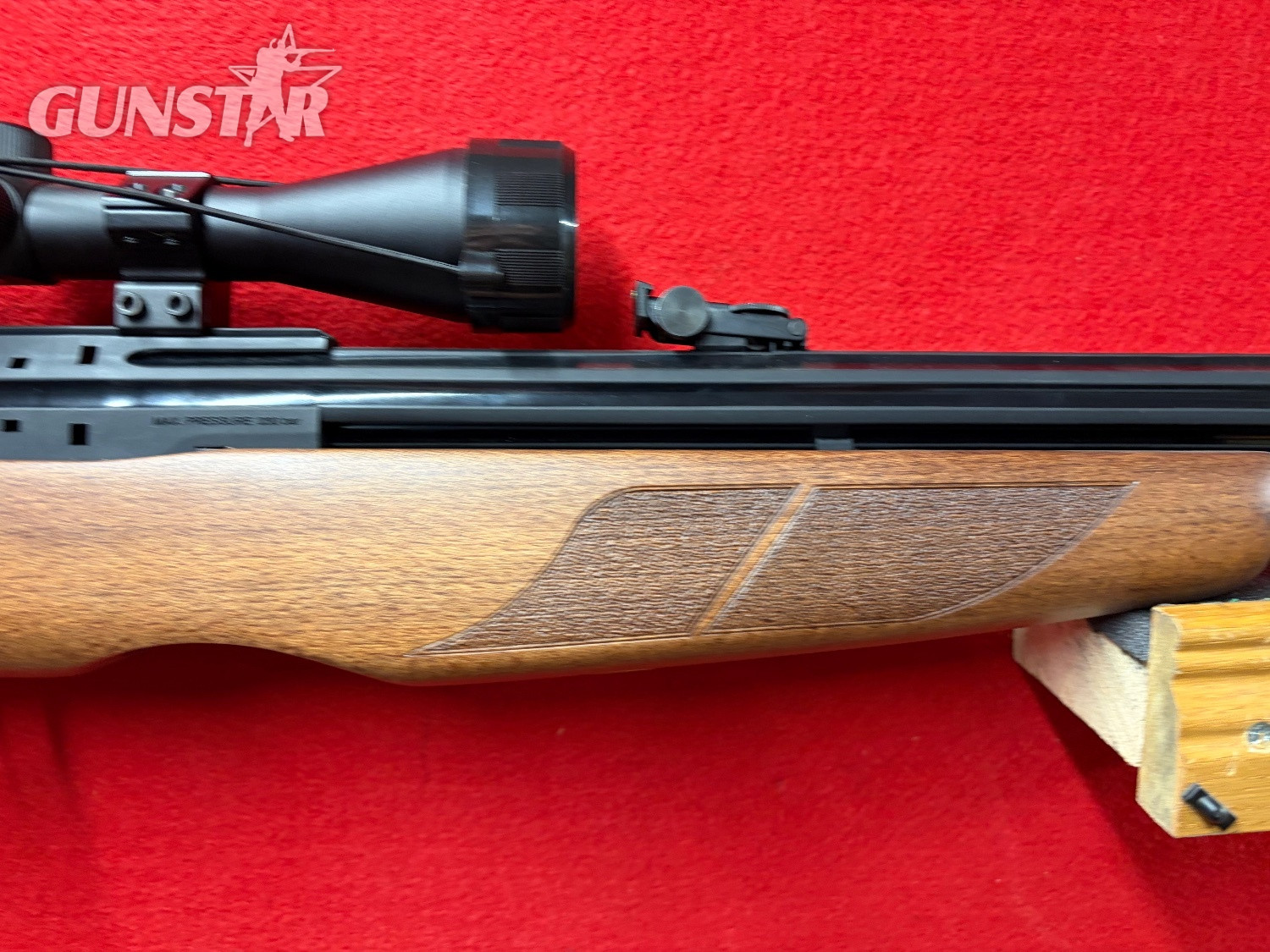  Gamo Riser .177