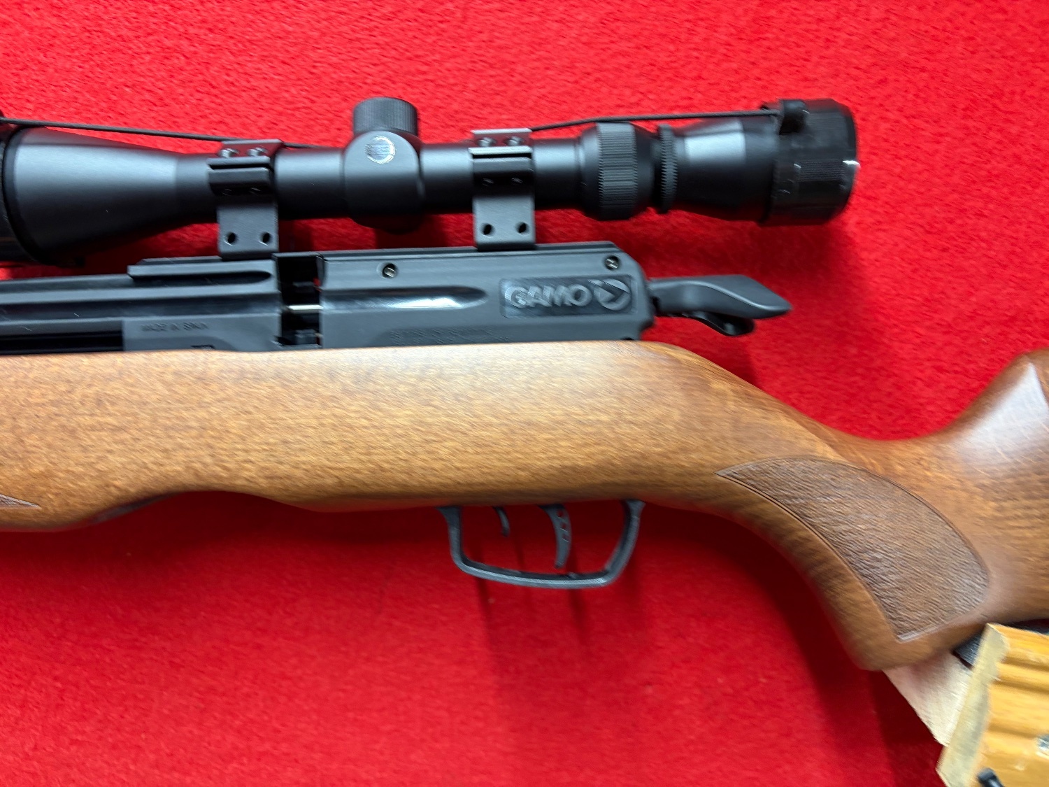 Gamo Riser .177 