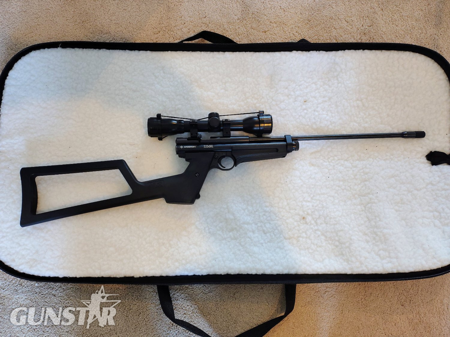 Crosman 2250 XL Ratcatcher .22 in 