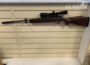 Crosman summit .22