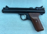 Benjamin EB20  .20