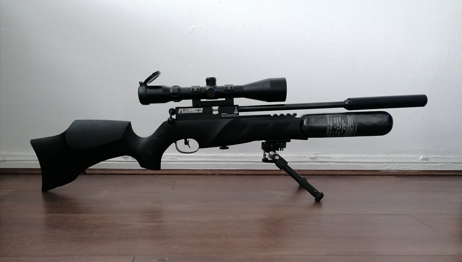 BSA R12 .22
