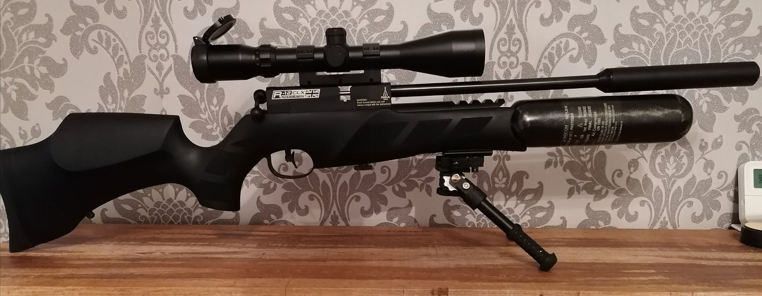 BSA R12 .22 