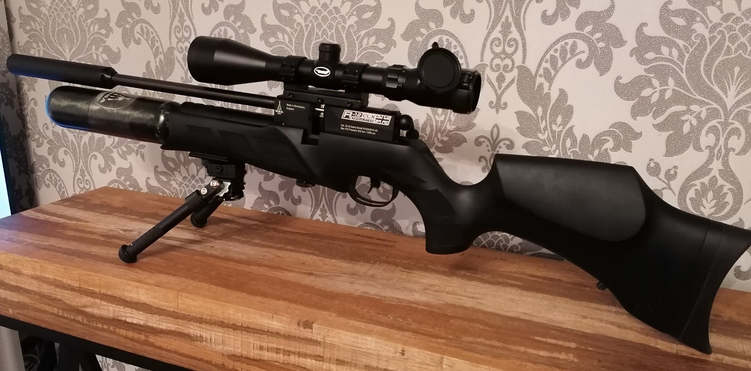 {CATEGORY} - BSA R12 .22 in 