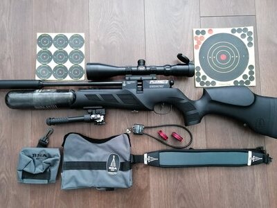 BSA R12 .22