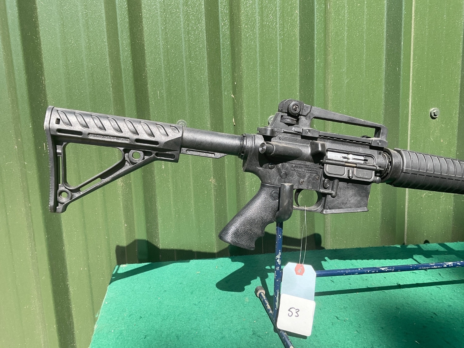  Chiappa M422 Straight Pull .22 Long Rifle (.22 LR) Rifle