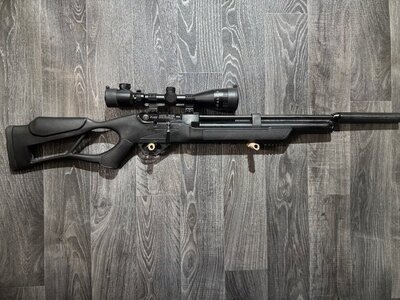 Hatsan Arms Flash .22