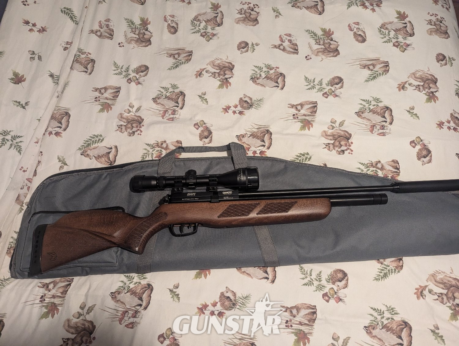 Gamo Coyote .22 in 