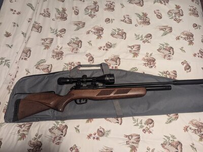 Gamo Coyote .22