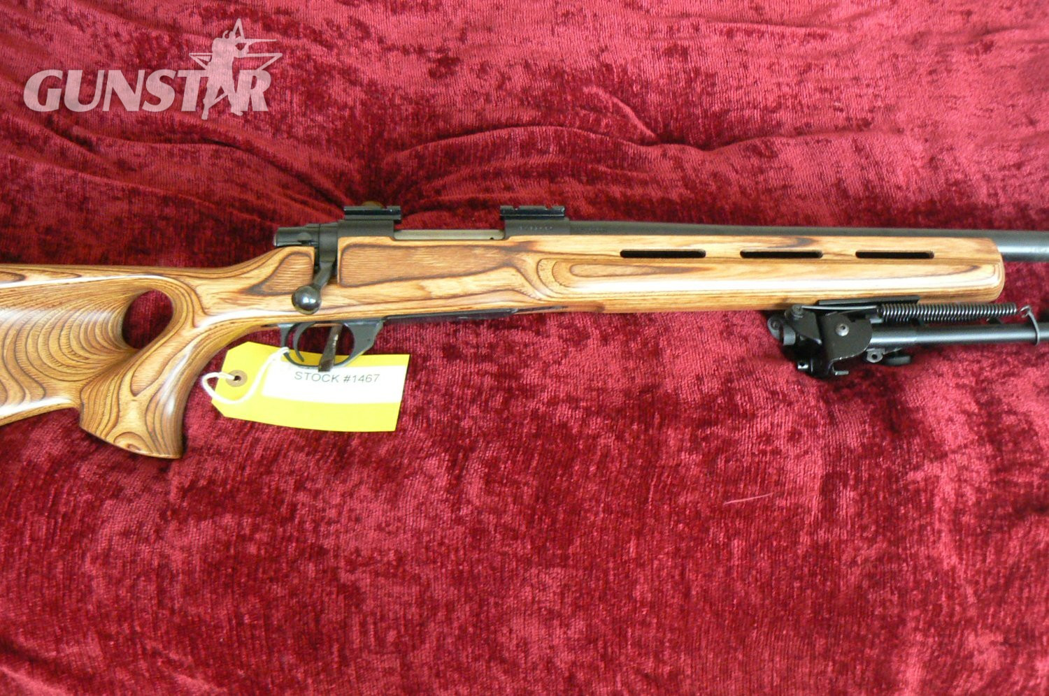 Howa 1500 VARMINT Bolt Action .22-250 Remington Rifle in 