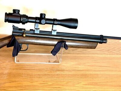 Crosman 2260 .22