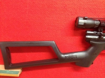 Crosman 2250 XL Ratcatcher .22