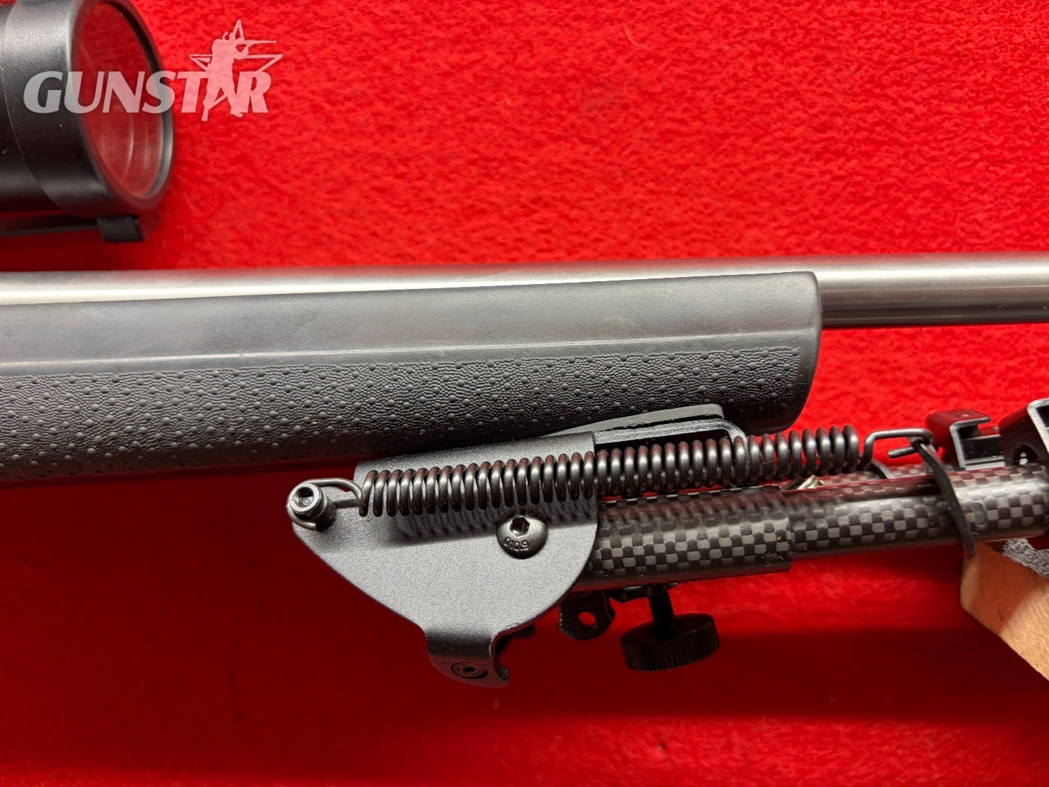 Ruger 10/22 Semi-Auto .22 Long Rifle (.22 LR) Rifle - {CATEGORY} in 