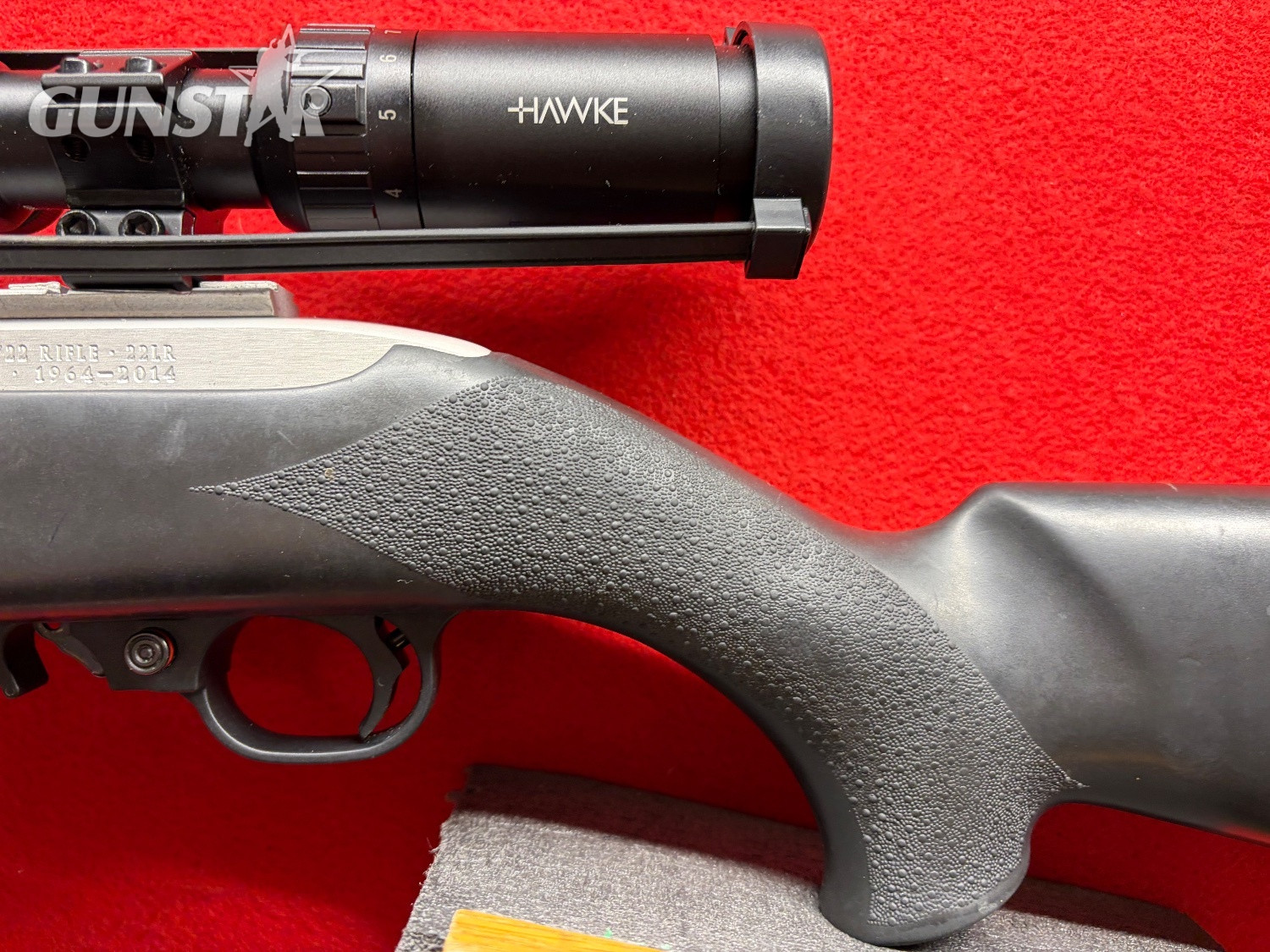 {CATEGORY} - Ruger 10/22 Semi-Auto .22 Long Rifle (.22 LR) Rifle